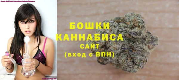 прущие грибы Абдулино