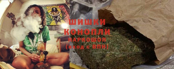 прущие грибы Абдулино