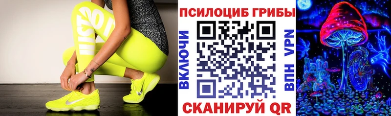 Галлюциногенные грибы Psilocybine cubensis  Троицк 