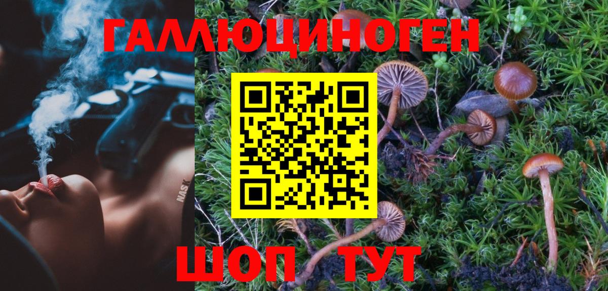 Псилоцибиновые грибы MAGIC MUSHROOMS Троицк