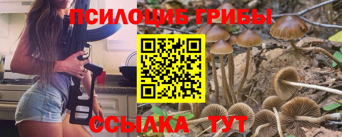 Псилоцибиновые грибы Psilocybe  Вход с VPN  Троицк 